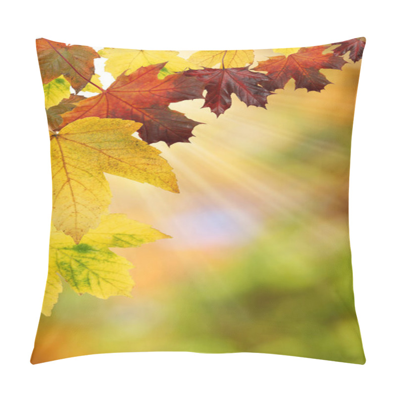 Personality  Autumn Pillow Covers