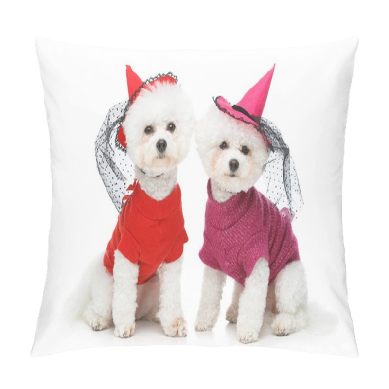 Personality  Halloween Bichon Frise Dogs Pillow Covers