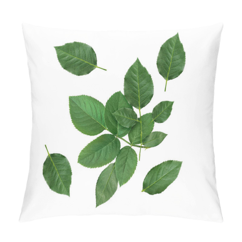 Personality  Rose Leaves On A White Background Pillow Covers