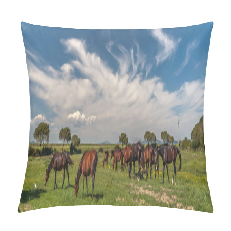 Personality  Horses Grazing On A Green Meadow Pillow Covers