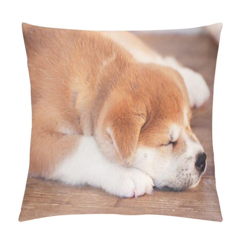 Personality  Little Japanese Akita-inu Sleeping Puppy Pillow Covers