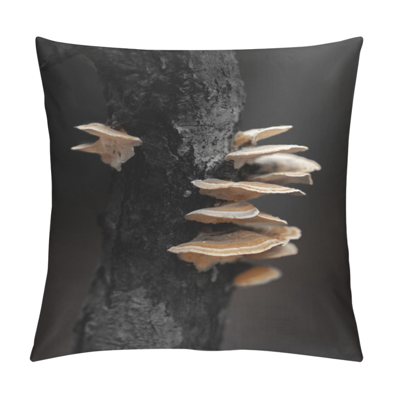 Personality  A Close-up Of Delicate Mushrooms Growing On Rugged Tree Bark In A Shadowy Forest, Captured With Cinematic Tones To Emphasize The Natural Textures And Mysterious Beauty Of Nature Pillow Covers