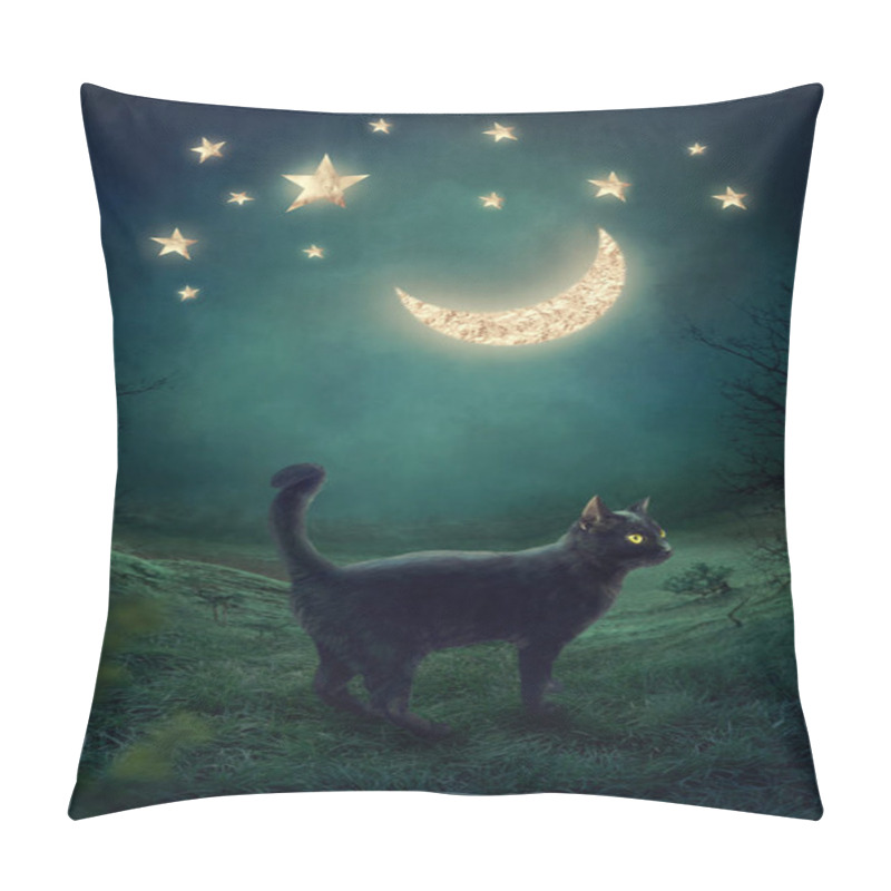 Personality  Black Cat Pillow Covers