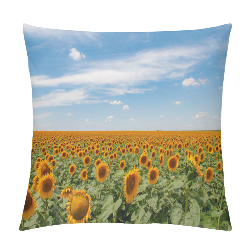 Personality  Farmland Landscape Of Countryside In Ukraine. Bright Yellow Common Sunflower Field With White Clouds Above Horizon. Panoramic View Of Rural Land With Blooming Flowers. Ukrainian Rural Landscape. Agricultural Field Of Annuus Helianthus Sunflowers Pillow Covers