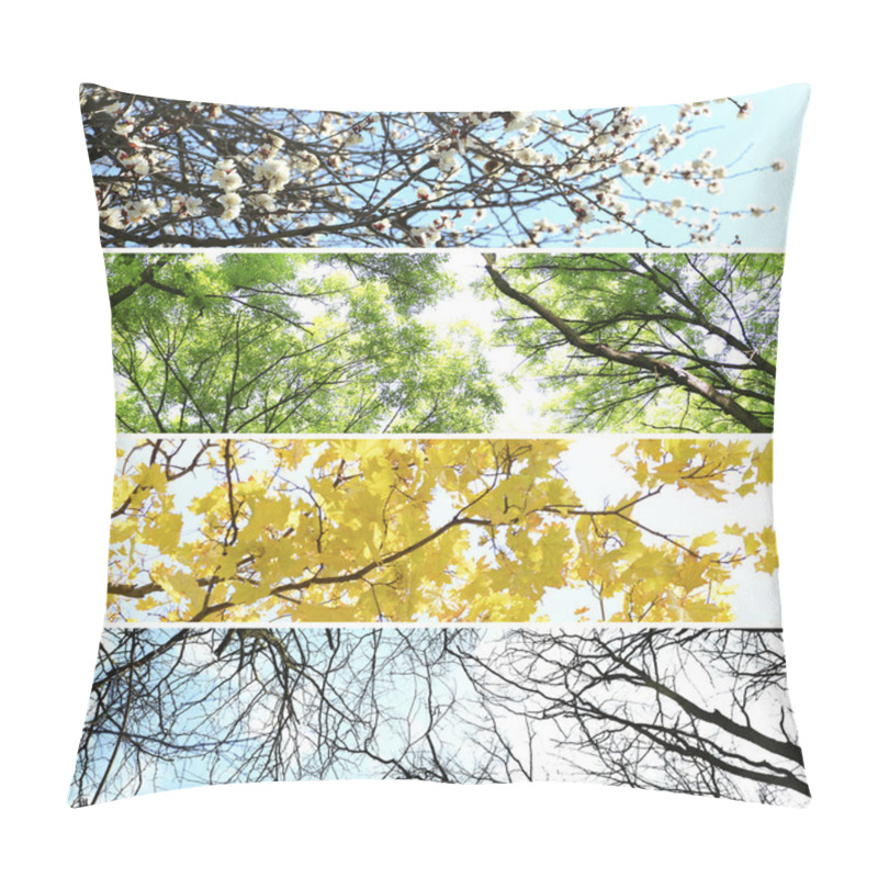 Personality  Four Seasons Collage: Several Photos Of Beautiful Trees At Different Time Of The Year - Winter Spring, Summer, Autumn Pillow Covers