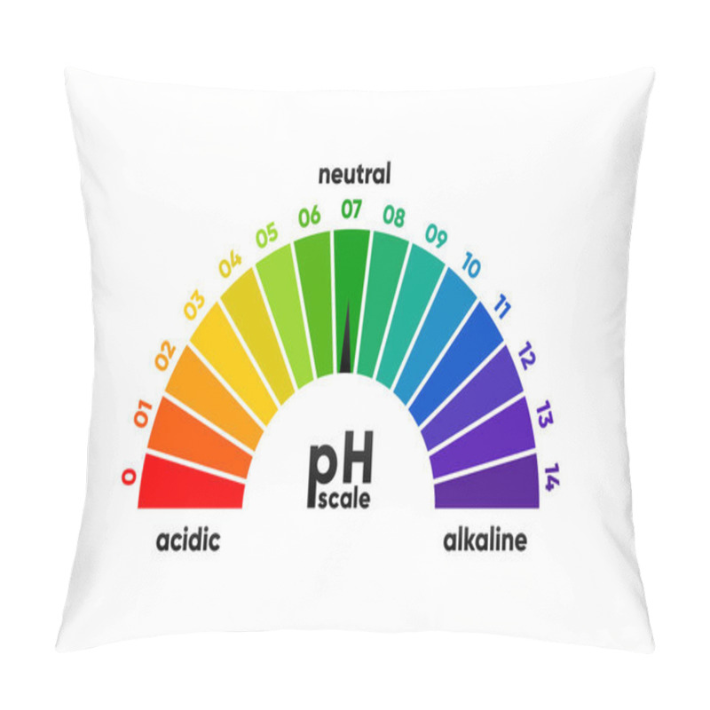 Personality  PH Scale Meter For Acidic And Alkaline Solutions. Acid-base Balance Scale. Chemical Test. Vector Illustration Pillow Covers