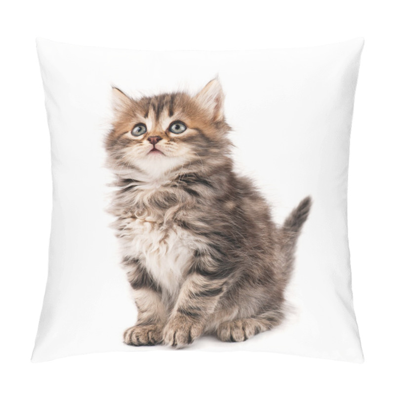 Personality  Cute Kitten Pillow Covers