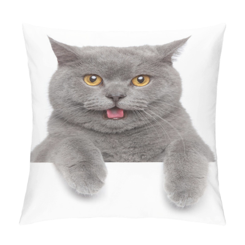 Personality  Portrait Of British Shorthair Cat Pillow Covers