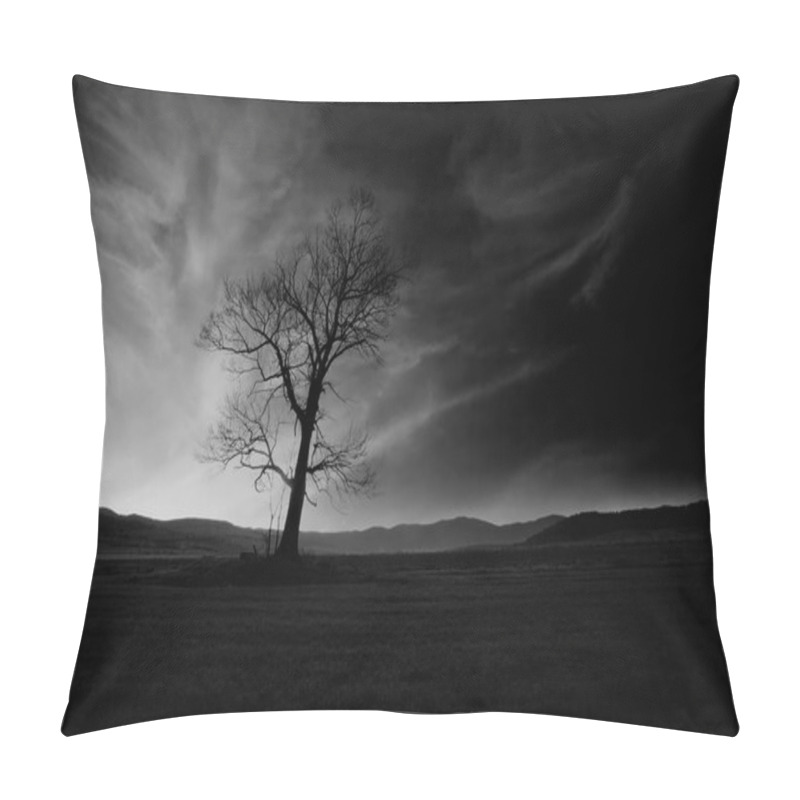 Personality  Bw Spooky Tree Pillow Covers