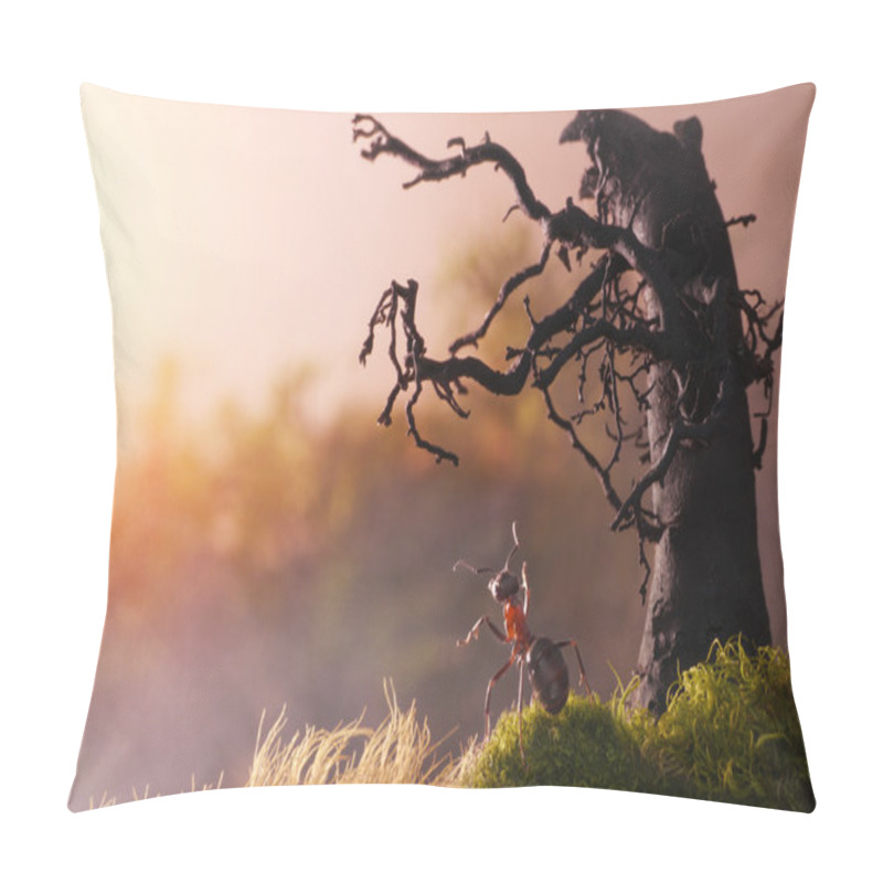 Personality  Meeting Sunrise With Old Stump, Ant Tales Pillow Covers