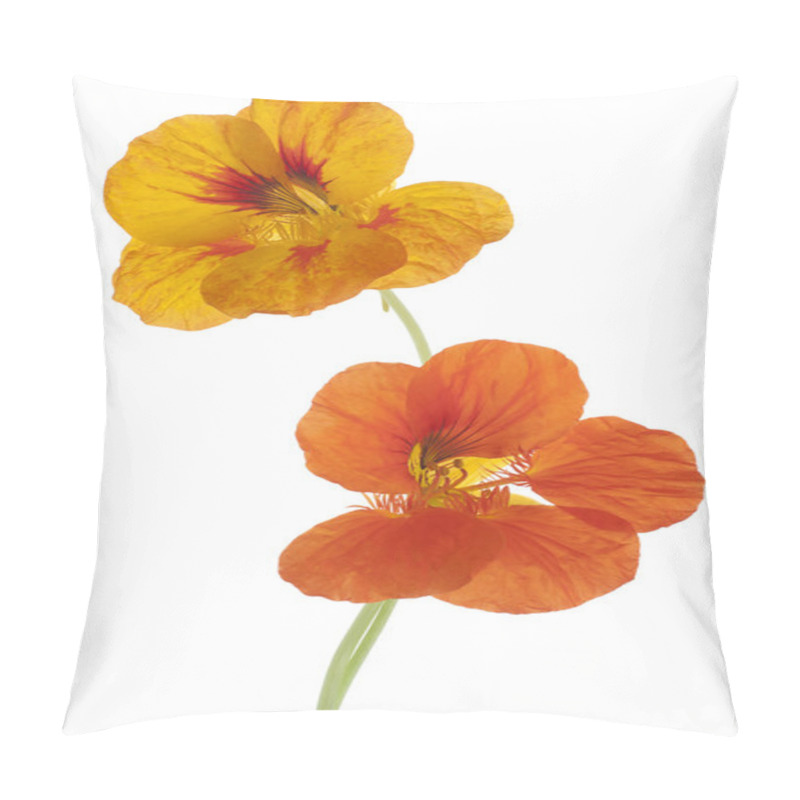 Personality  Nasturtium Pillow Covers