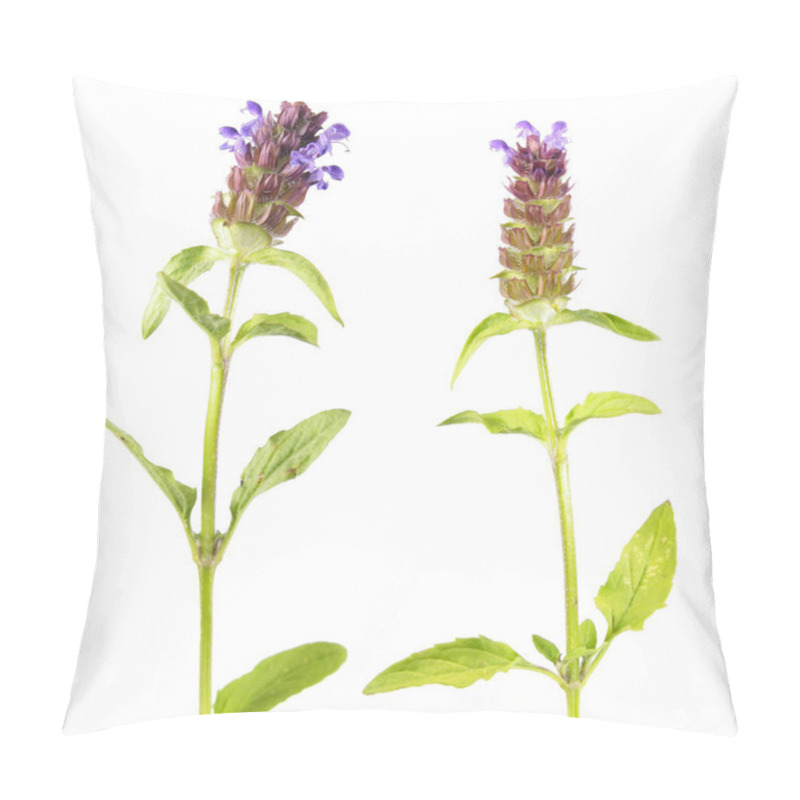 Personality  Common Self-heal Or Brownwort (Prunella Vulgaris) Isolated On White Background. Medicinal Plant Pillow Covers