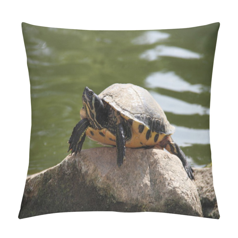 Personality  Eared Turtle Pillow Covers