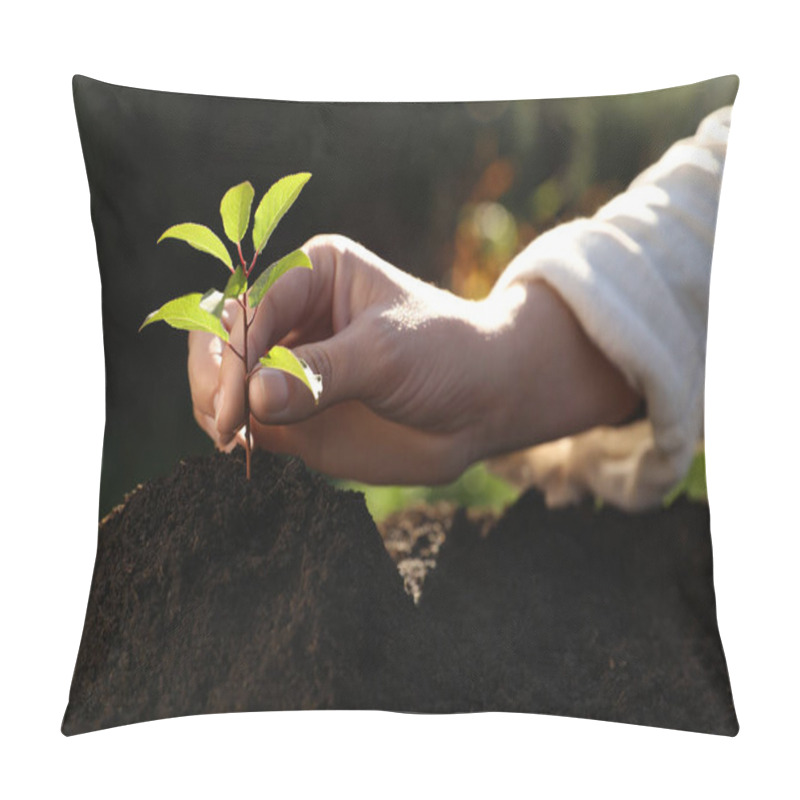 Personality  Woman Planting Young Tree In Garden, Closeup Pillow Covers