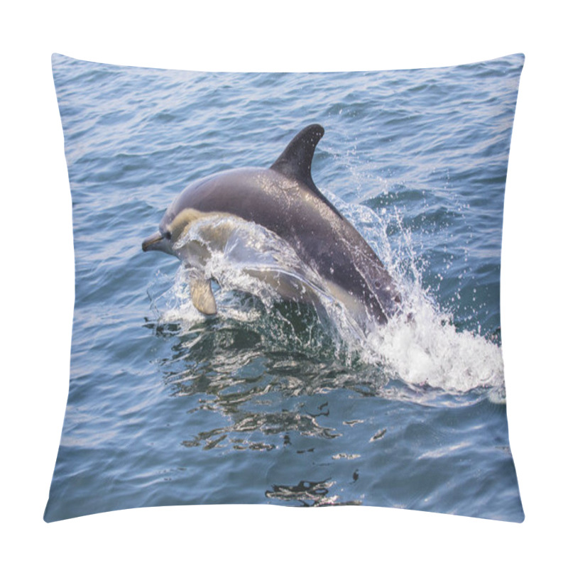 Personality  A Dolphin Swimming Off Of The Coast Of Lagos In The Algarve Region Of Portugal. Pillow Covers