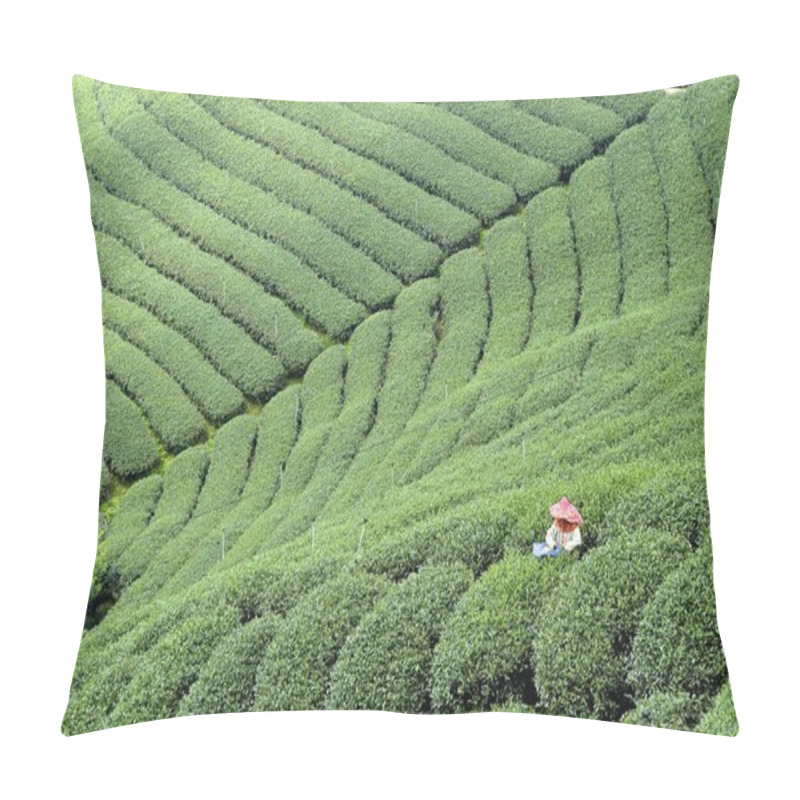 Personality  Tea Field Pillow Covers