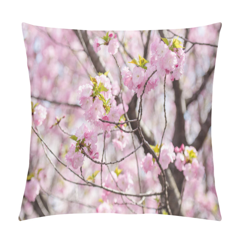 Personality  Sakura Or Japan Cherry Blossom Branches, Which Will Fully Bloomi Pillow Covers