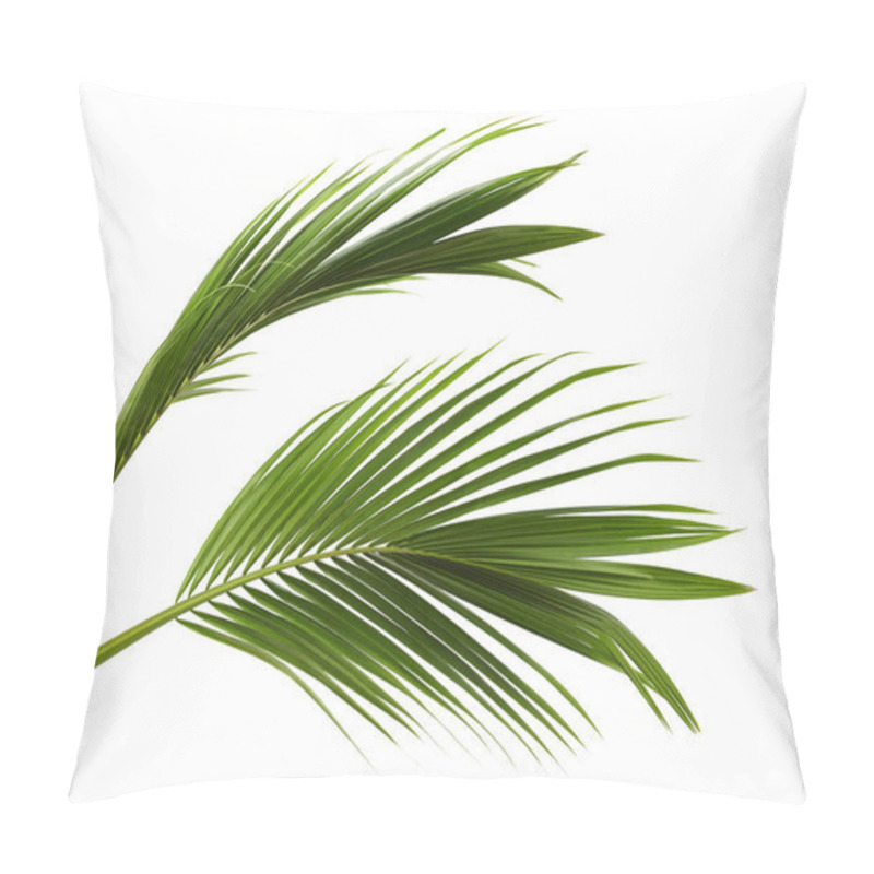 Personality  Coconut Leaves Or Coconut Fronds, Green Plam Leaves, Tropical Foliage Isolated On White Background With Clipping Path Pillow Covers