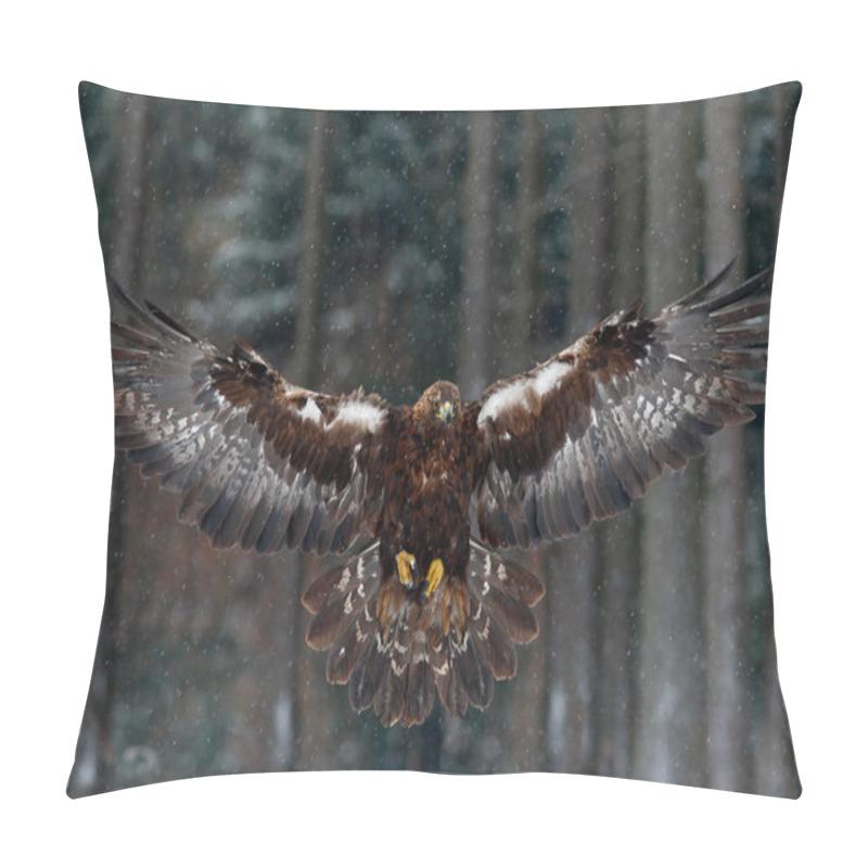 Personality  Flying Bird Of Prey Golden Eagle Pillow Covers