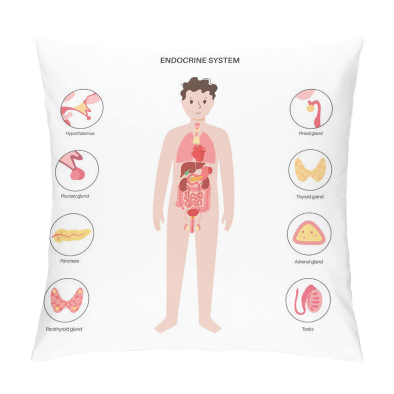 Personality  Human Endocrine System Pillow Covers