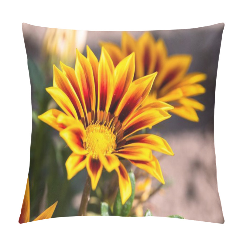 Personality  A Close-up Of Vibrant Yellow And Red Gazania Flowers Blooming Brilliantly In A Sunlit Garden, Highlighting Their Striking, Colorful Petals And Lush Green Leaves. Ideal For Nature And Gardening Themes. Pillow Covers