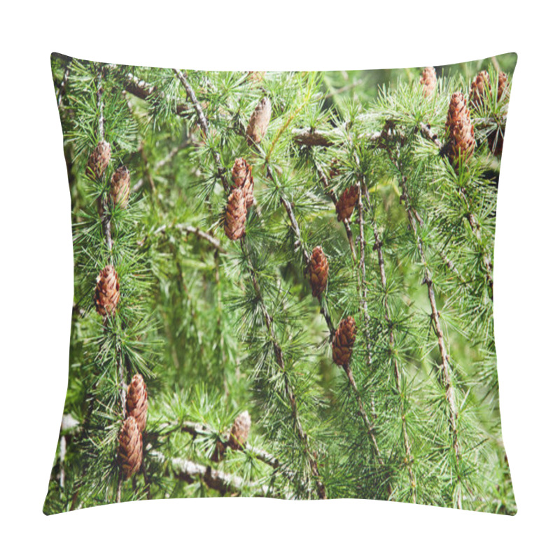 Personality  Pine Branches Pillow Covers