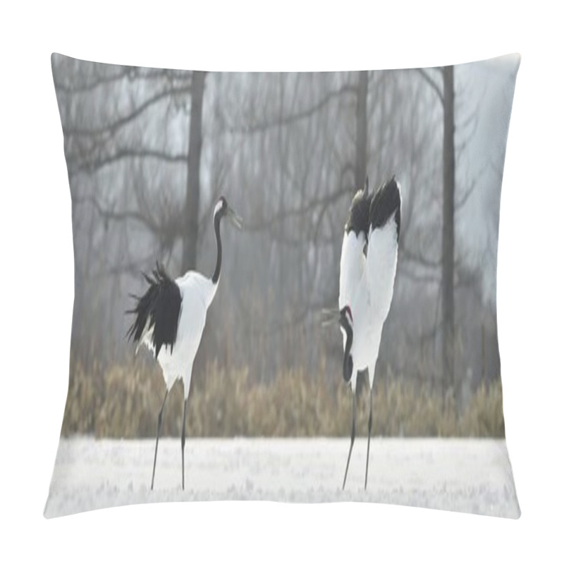 Personality  The Ritual Marriage Dance Of Cranes. The Red-crowned Cranes. Scientific Name: Grus Japonensis, Also Called The Japanese Crane Or Manchurian Crane, Is A Large East Asian Crane. Pillow Covers