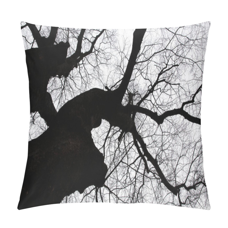 Personality  Black And White Photo Of A Bare Zelkova Tree In Cold Winter Pillow Covers