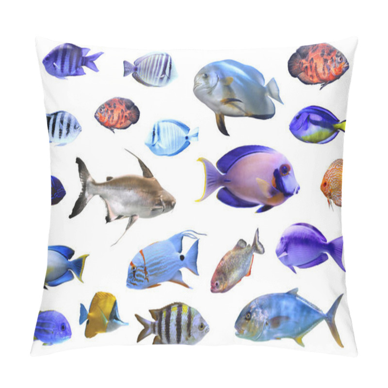 Personality  Set Of Different Tropical Fishes On White Background Pillow Covers