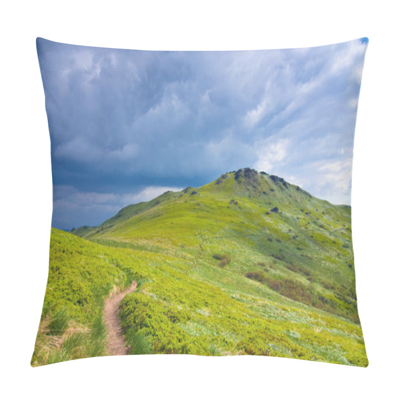 Personality  Green Meadow In Mountain. Pillow Covers