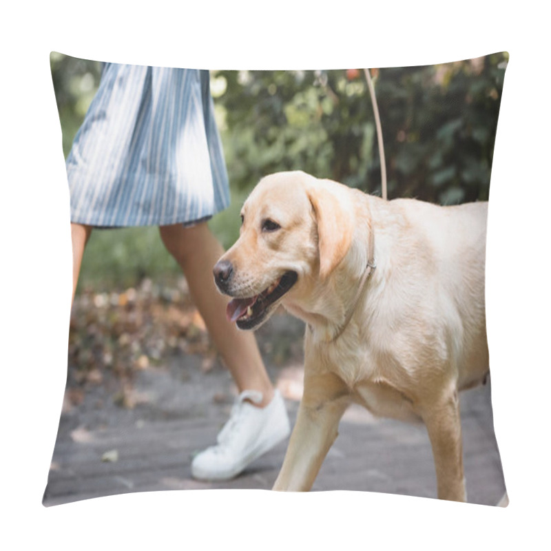 Personality  Cropped View Of Woman Walking With Labrador In Park Pillow Covers