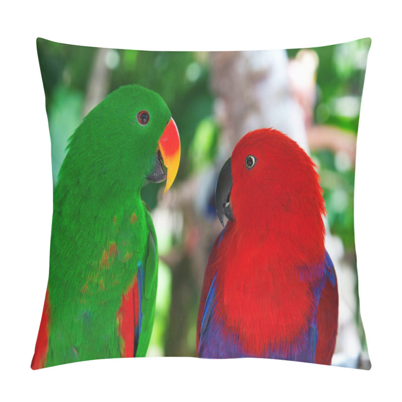 Personality  Pair Of Lori Parrots Pillow Covers