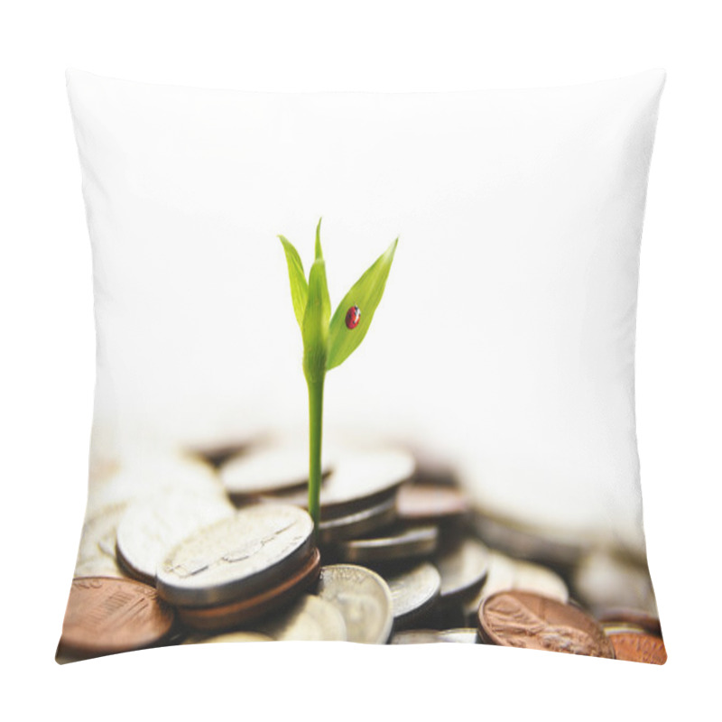 Personality  Growing From Money Pillow Covers