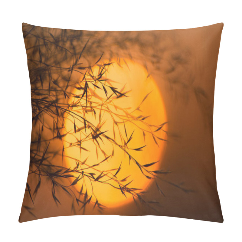 Personality  Dry Branches Against The Evening Sun. Branches Of Plants With Leaves At Sunset. Pillow Covers