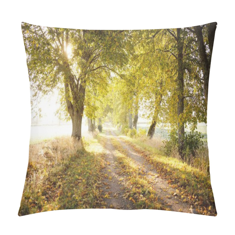 Personality  Single Lane Rural Road (alley) Through The Linden Trees At Sunrise. Golden Sunlight, Sunbeams, Fog, Shadows. Fairy Autumn Forest Scene. Art, Hope, Heaven, Wilderness, Loneliness, Pure Nature, Ecology Pillow Covers