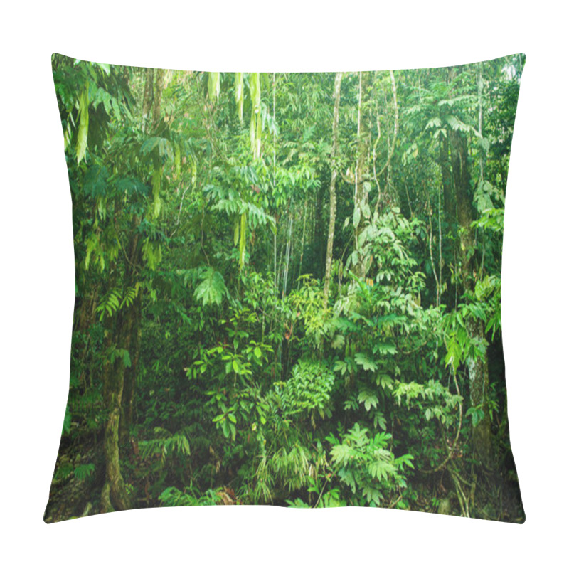 Personality  Incredible Tropical Dense Forest Pillow Covers