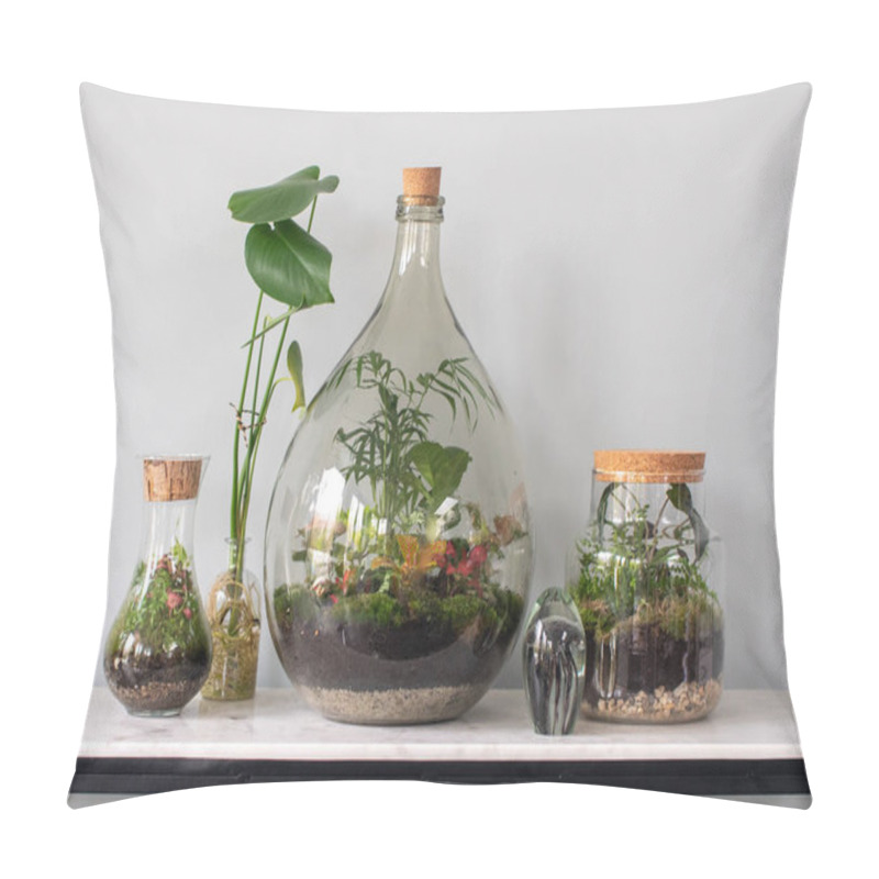 Personality  Collection Of Ecosystem Terraria With Small Plants Pillow Covers