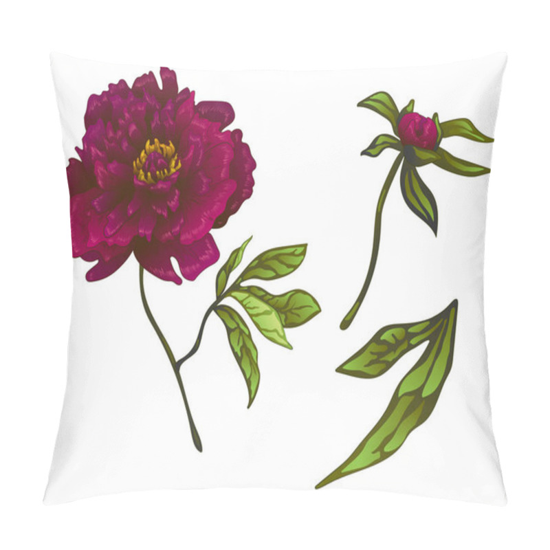 Personality  Vector Burgundy Peony Floral Botanical Flower. Engraved Ink Art. Isolated Peonies Illustration Element. Pillow Covers