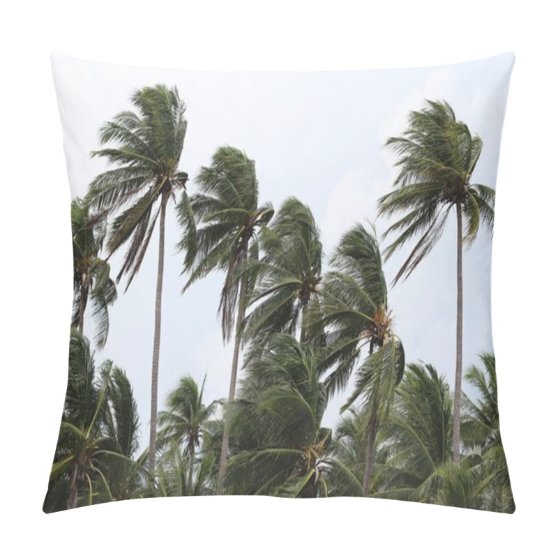 Personality  Strong Winds Impact On The Coconut Palm Trees Signaling A Tornado, Typhoon Or Hurricane. Pillow Covers