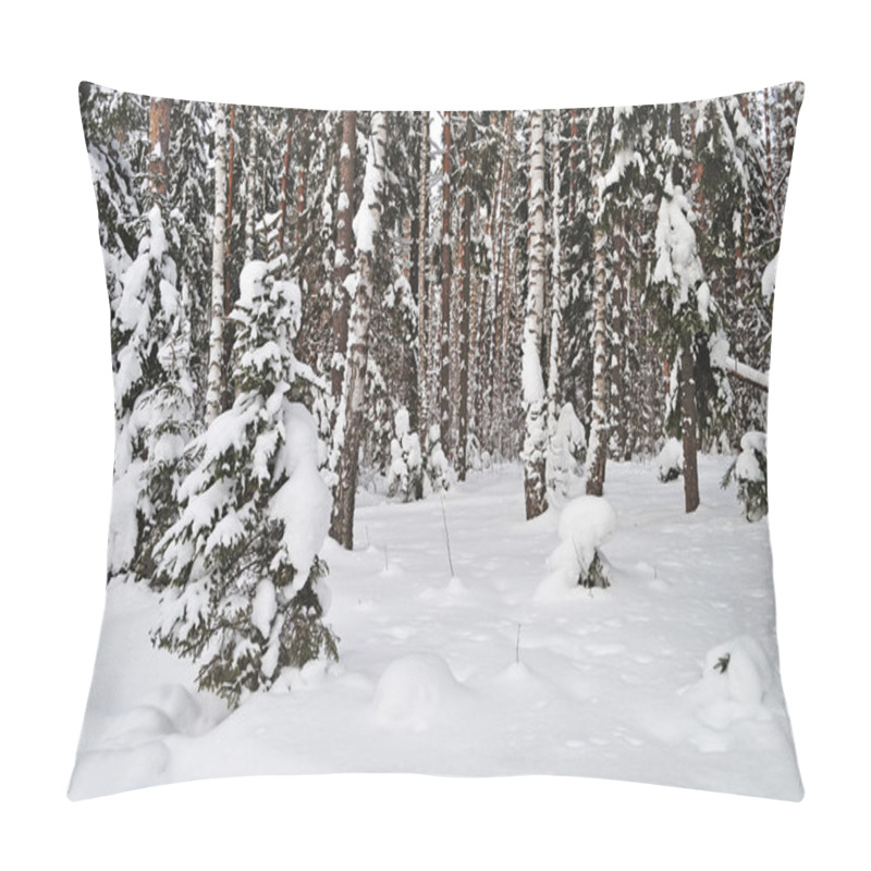 Personality  Fir And Birch Trees Under Snow In Winter Forest, Russia Pillow Covers