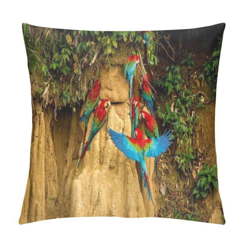 Personality  Red Parrots On Clay Lick Eating Minerals, Red And Green Macaw In Tropical Forest, Brazil, Wildlife Scene From Tropical Nature. Flock Of Birds On Clay Brown Wall Pillow Covers