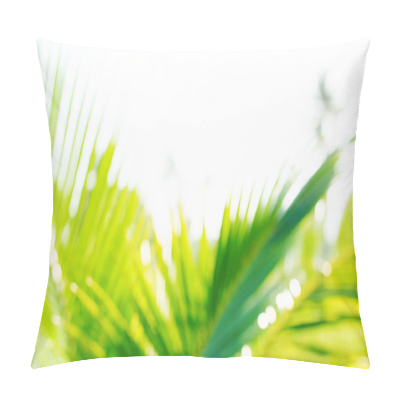 Personality  Defocused Exotic Young Growing Coconut Palm Tree Pillow Covers