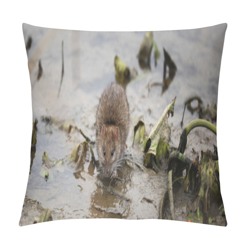 Personality  Gray Rat Pillow Covers