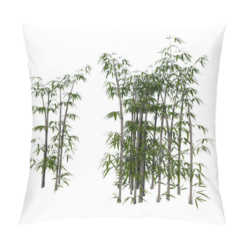 Personality  Front View Of Plant  Bamboo 2  Tree White Background 3D Rendering Ilustracion 3D Pillow Covers