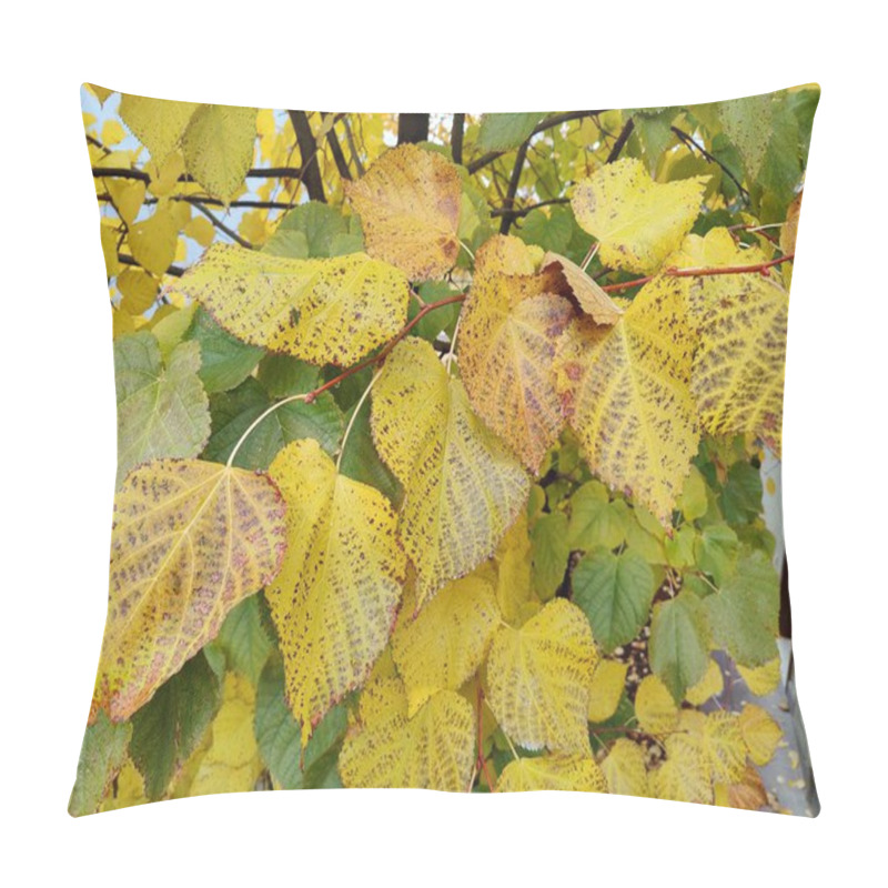 Personality  Golden Autumn Leaves With Dark Speckles, Representing The Passage Of Time And Nature's Imperfections, As A Metaphor For Beauty In Flaws And Seasonal Transformation Amidst The Warm Glow Of Fall Pillow Covers