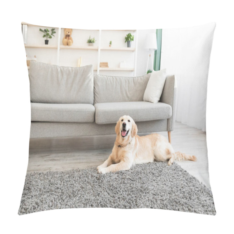 Personality  Portrait Of Cute Labrador Lying On The Floor At Home Pillow Covers