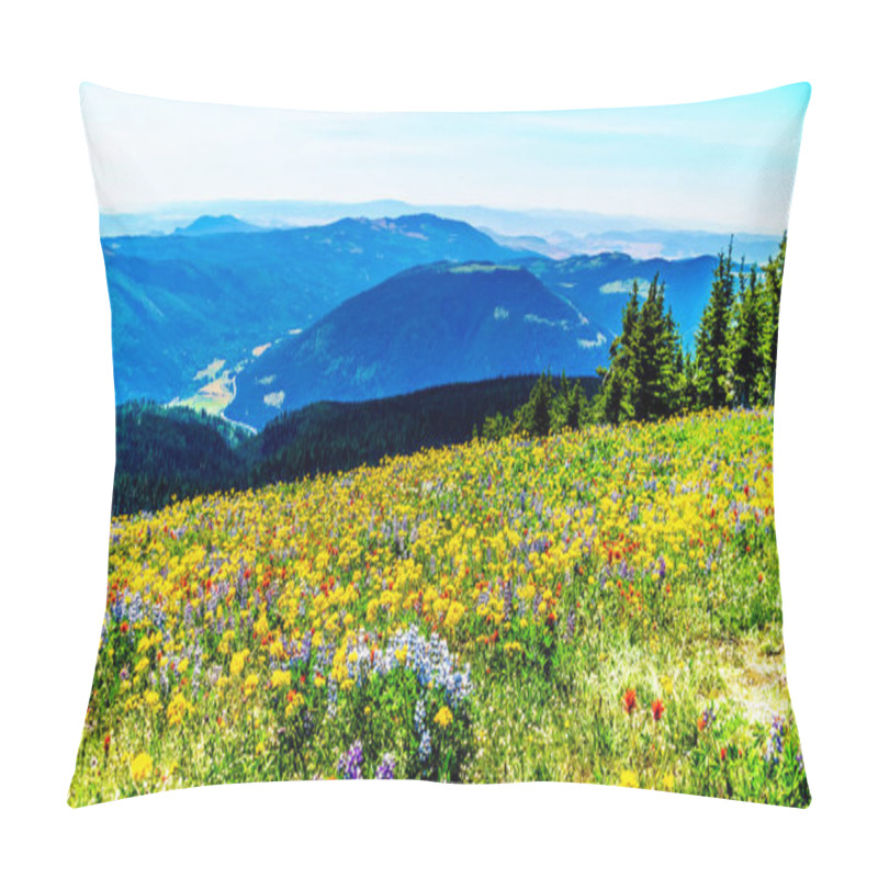 Personality  Hiking Among The Wildflowers In The High Alpine Mountains Near Sun Peaks Village Pillow Covers