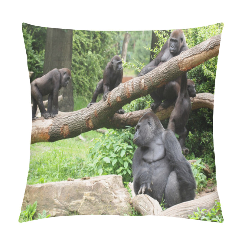 Personality  Group Of Gorillas In Forest Pillow Covers