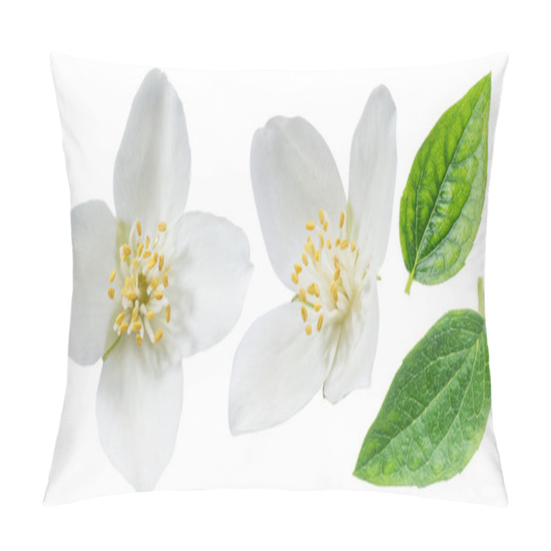 Personality  Blooming Jasmine Isolated On White. Pillow Covers