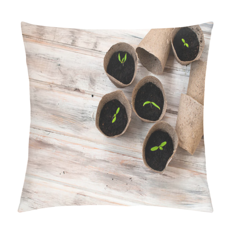 Personality  Vegetable Seedlings On Wooden Table, Selective Focus Pillow Covers